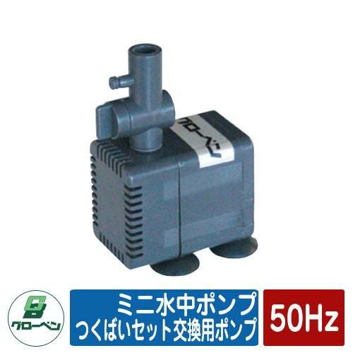 000000042288-01.jpg?size=l&w=