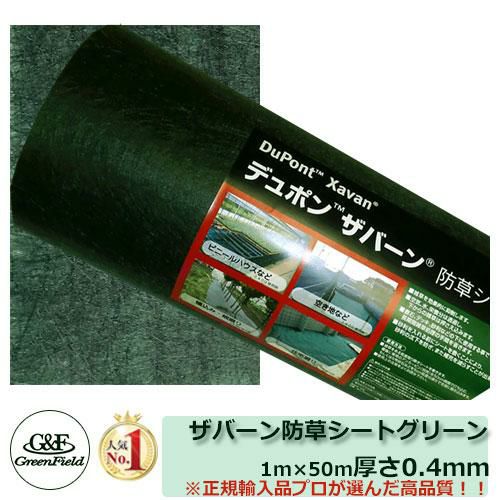 000000060657-01.jpg?size=l&w=