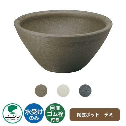 000000061892-01.jpg?size=m&w=